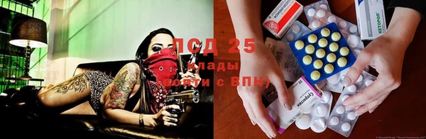 дживик Абинск