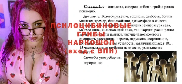 каннабис Абаза