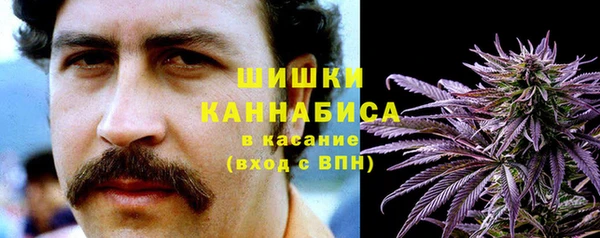дживик Абинск