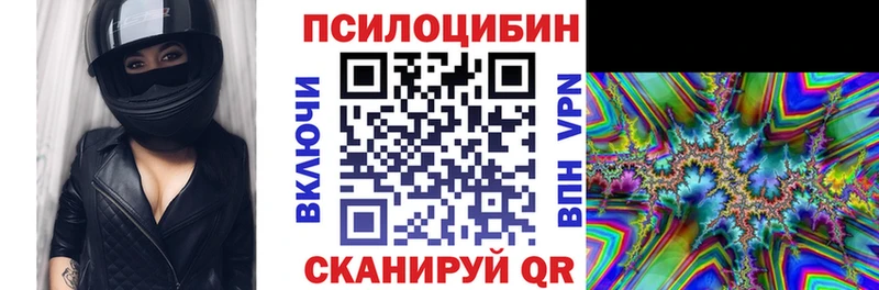 даркнет сайт  Камызяк  Галлюциногенные грибы прущие грибы 